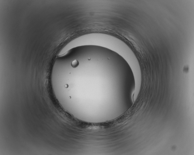 X0000116790499201001081316