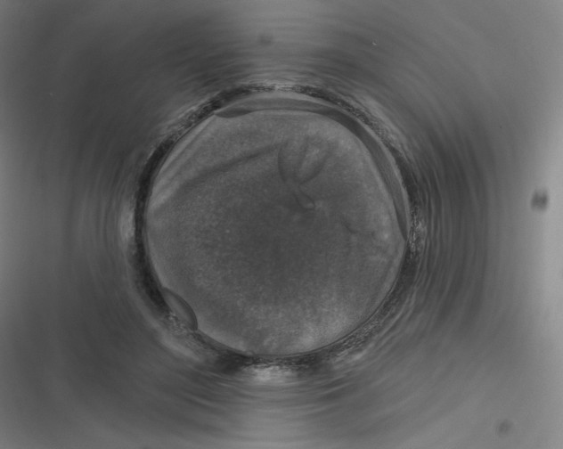 X0000116790500201001081316