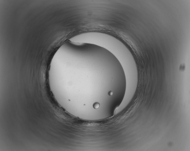 X0000116790501201001081316