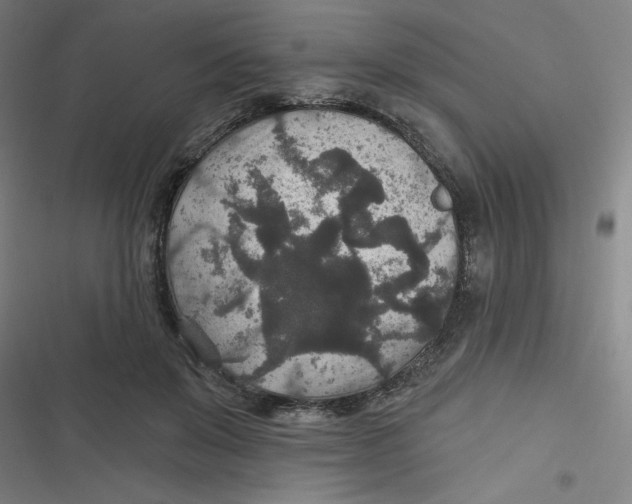 X0000116790503201001081316