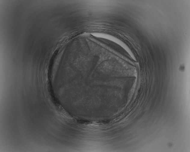 X0000116790504201001081316