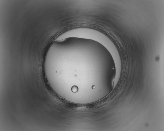 X0000116790505201001081316