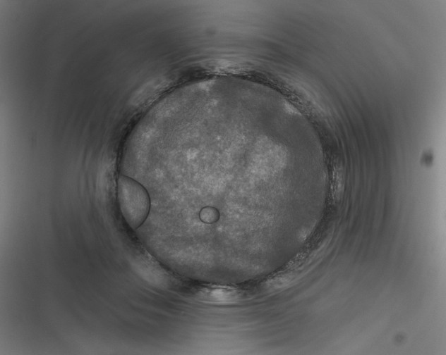 X0000116790506201001081316