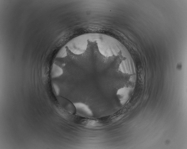 X0000116790507201001081316