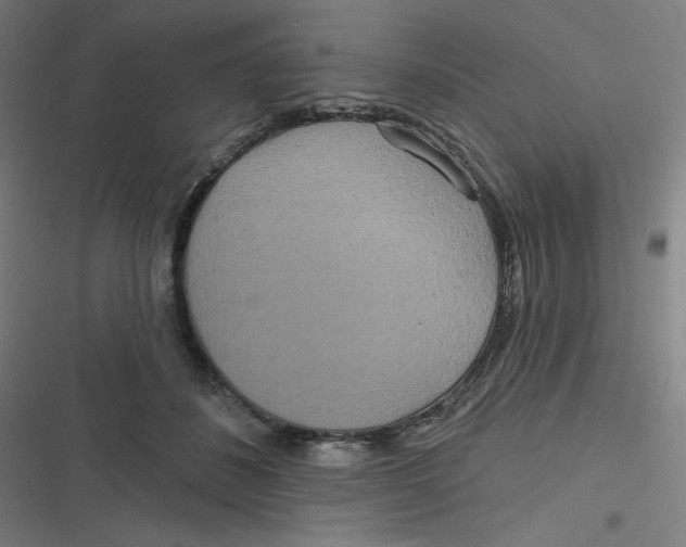 X0000116790508201001081316