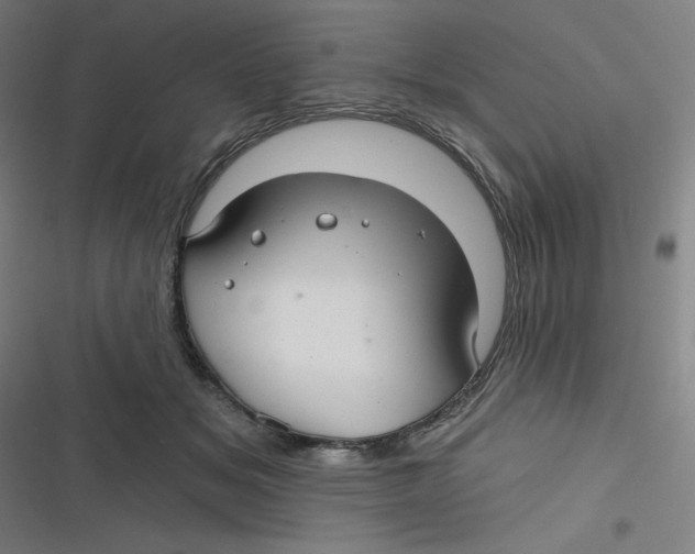 X0000116790509201001081316