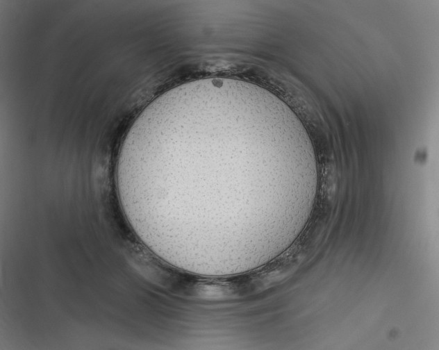 X0000116790510201001081316