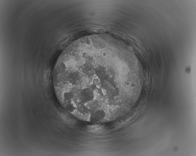 X0000116790511201001081316