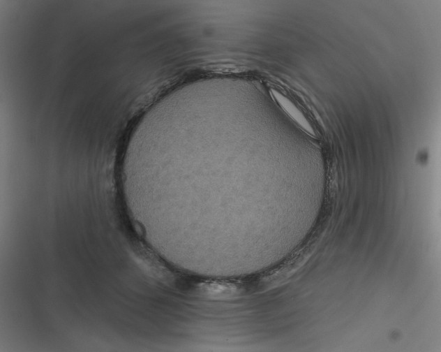 X0000116790512201001081316