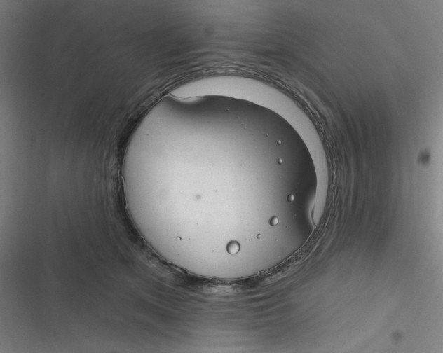 X0000116790513201001081316