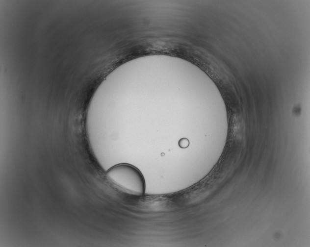 X0000116790514201001081316