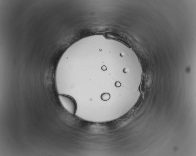 X0000116790515201001081316