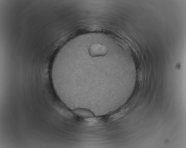 X0000116790516201001081316