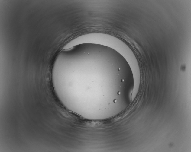 X0000116790517201001081316