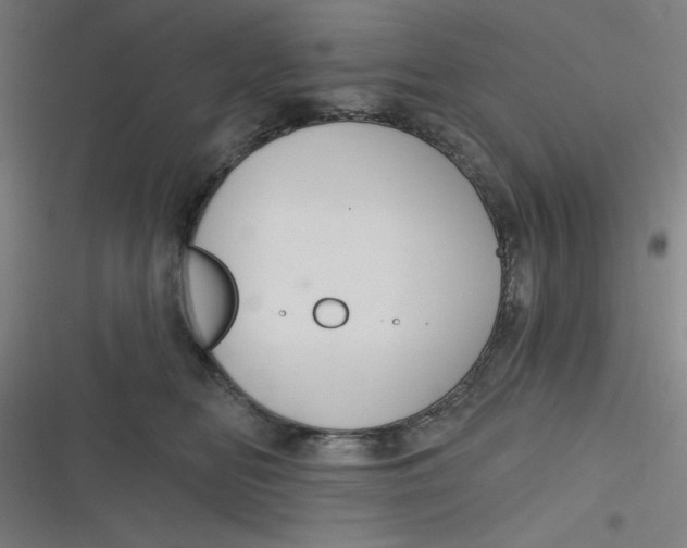 X0000116790518201001081316