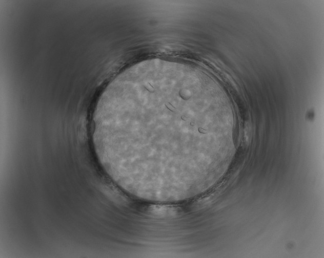 X0000116790520201001081316