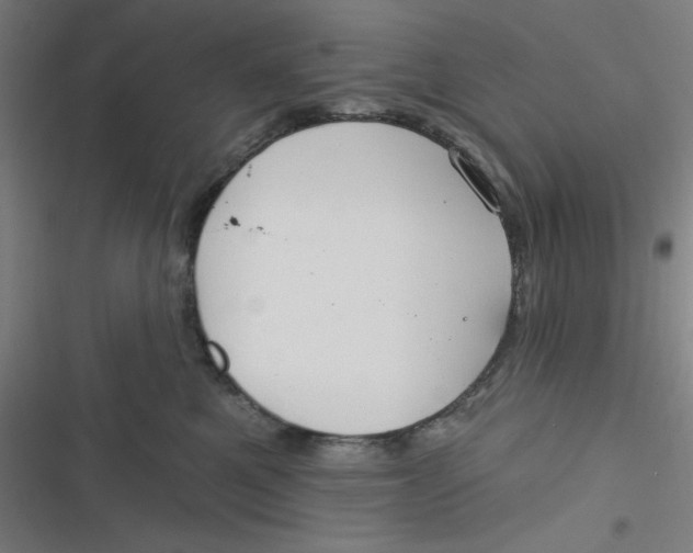 X0000116790521201001081316