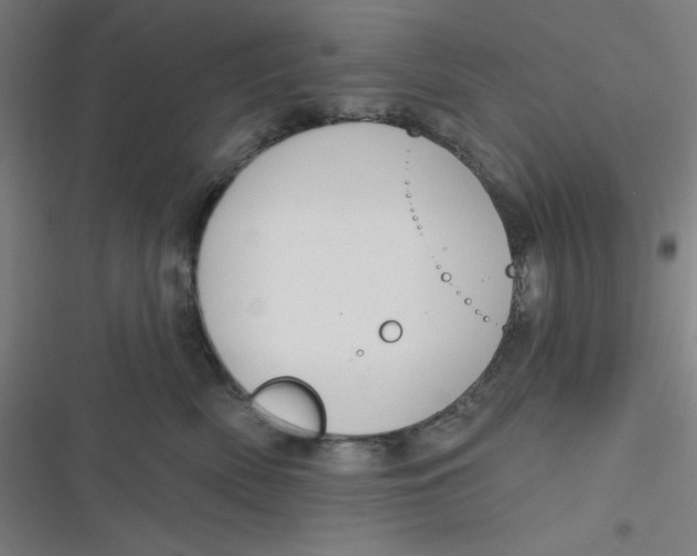 X0000116790522201001081316