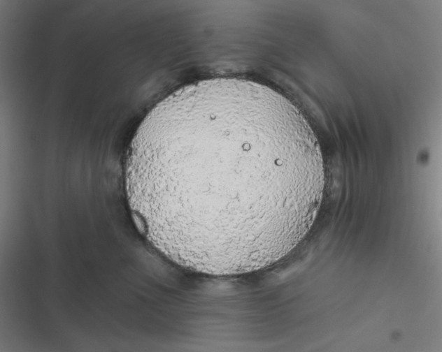 X0000116790523201001081316