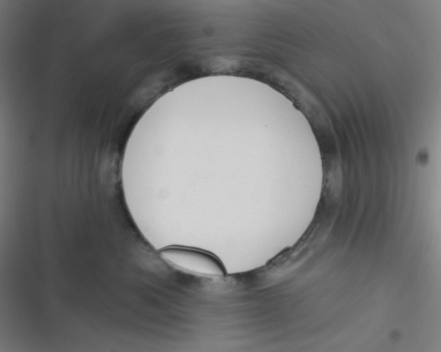 X0000116790525201001081316