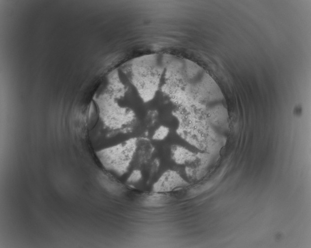 X0000116790527201001081316