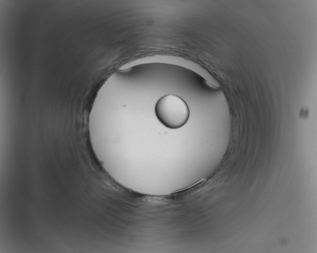 X0000116790528201001081316