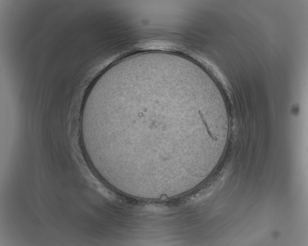 X0000116790529201001081315