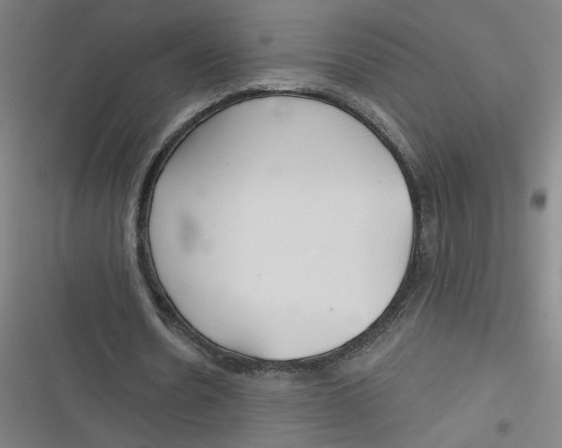 X0000116790530201001081315