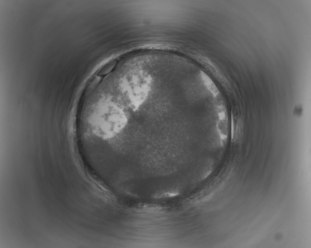 X0000116790531201001081315