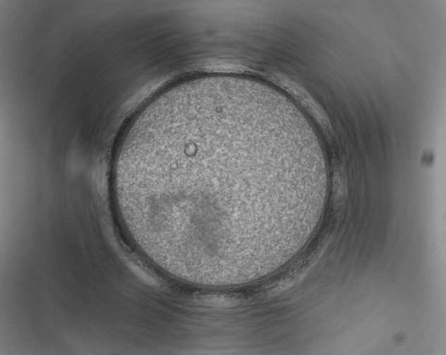 X0000116790533201001081315