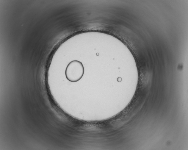 X0000116790534201001081315