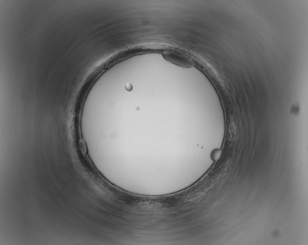 X0000116790535201001081315