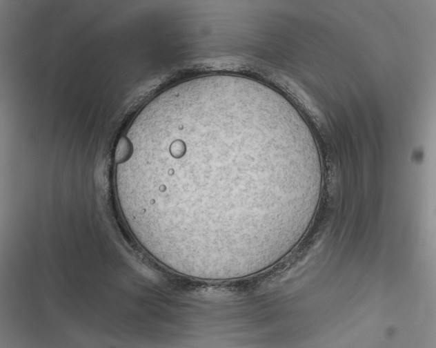 X0000116790537201001081315