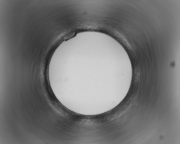 X0000116790538201001081315