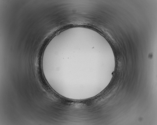 X0000116790539201001081315