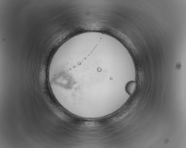 X0000116790541201001081315