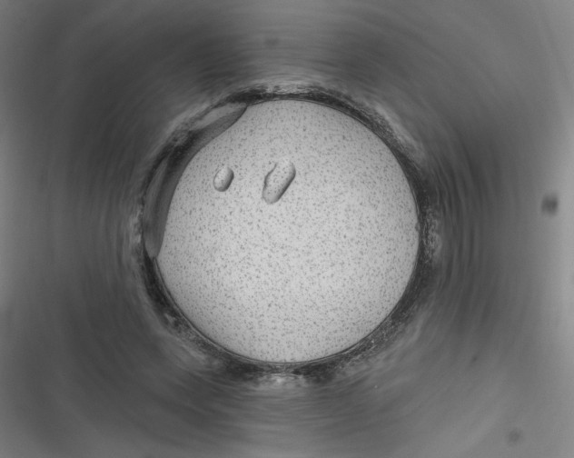 X0000116790543201001081315