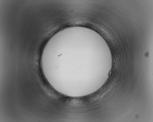 X0000116790546201001081315