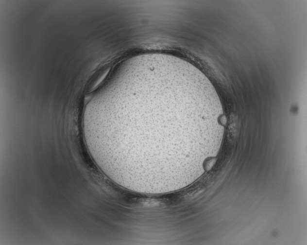 X0000116790547201001081315