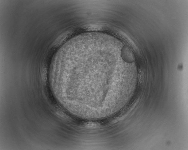 X0000116790549201001081316