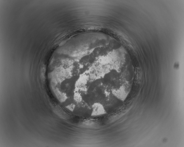 X0000116790550201001081316