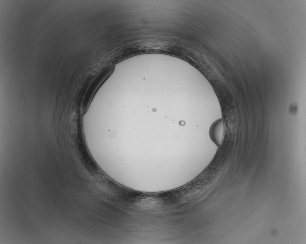 X0000116790551201001081316