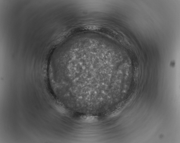 X0000116790553201001081316