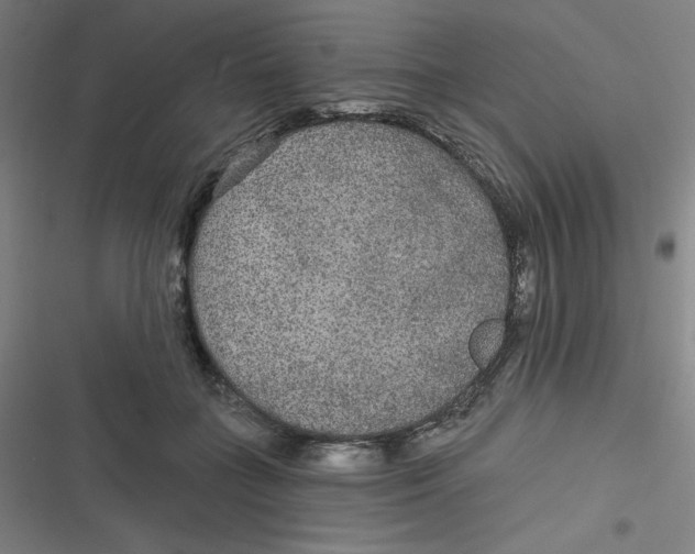 X0000116790555201001081316