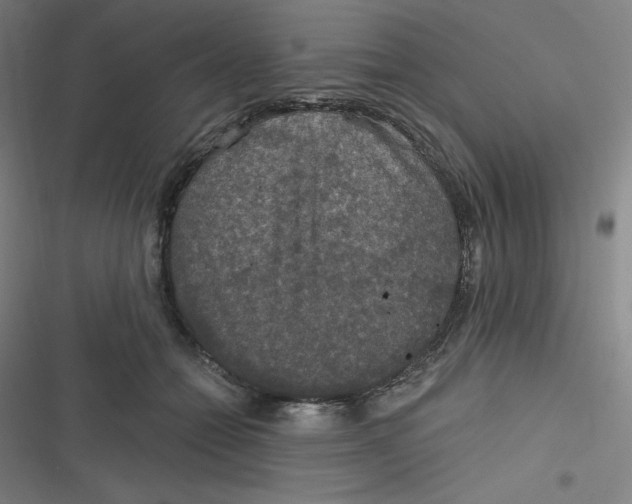 X0000116790558201001081316