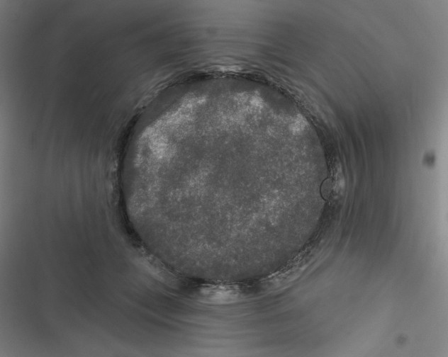 X0000116790559201001081316