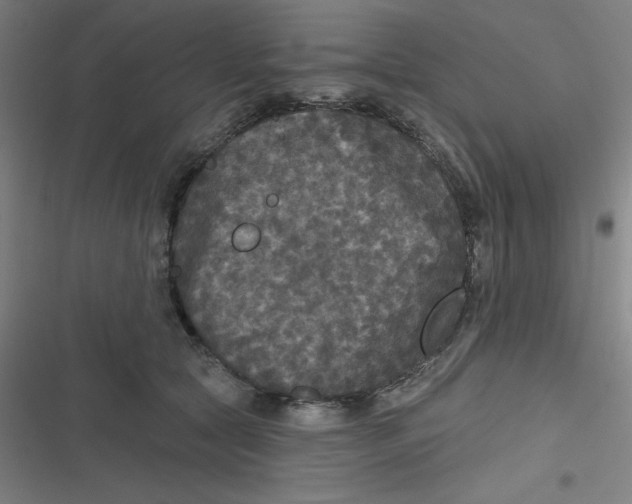 X0000116790561201001081316