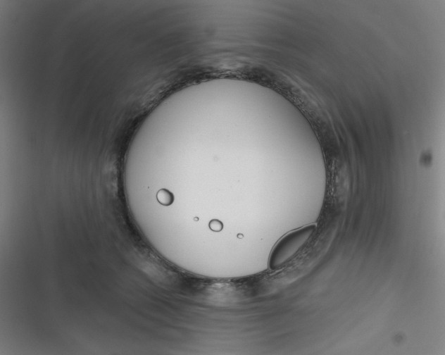 X0000116790562201001081316