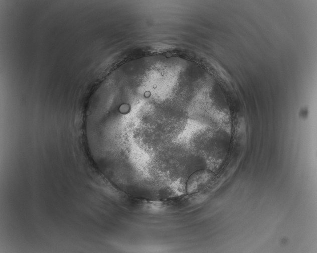 X0000116790565201001081316