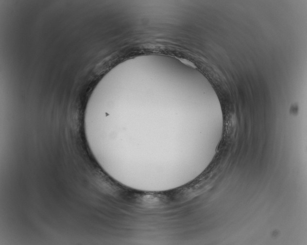 X0000116790566201001081316